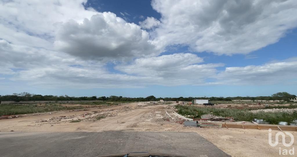 TERRENO EN VENTA EN CAMELIA RESIDENCIAL SITPACH MÉRIDA