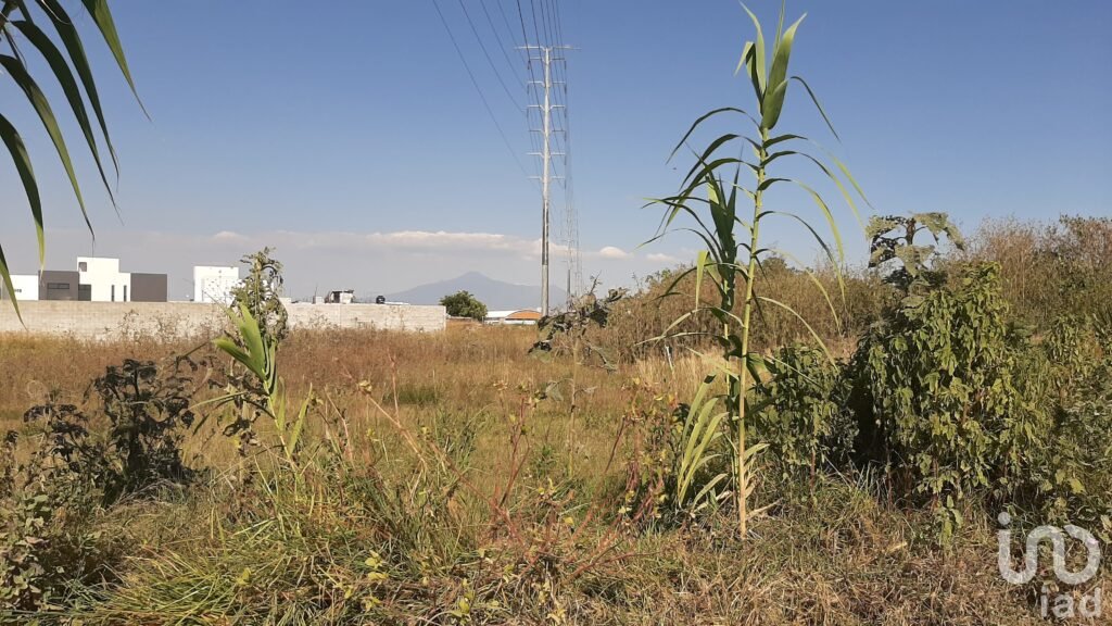 Terreno en Venta en San Francisco Sarabia