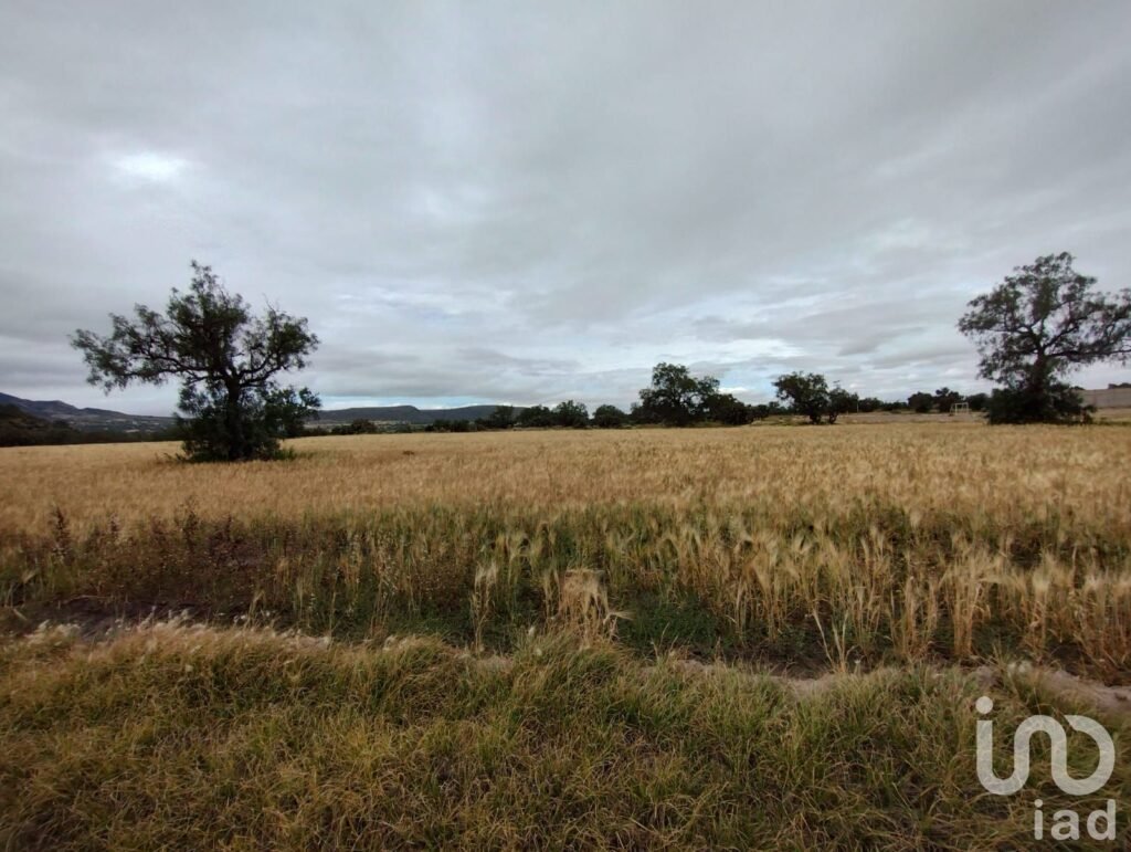 TERRENO EN VENTA EN TELLEZ AL SUR DE PACHUCA,HGO.