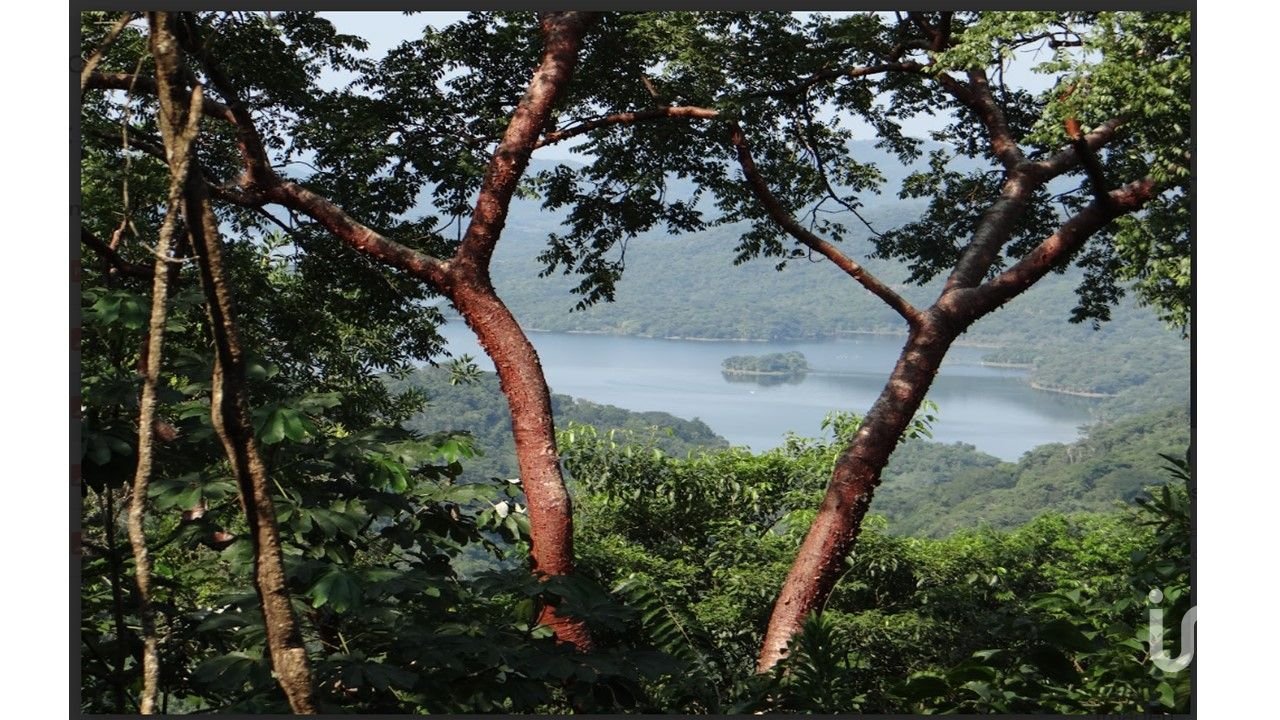 Terreno en Venta,  Presa Cajón de Peña (La Presa), Tomatlán, Jalisco