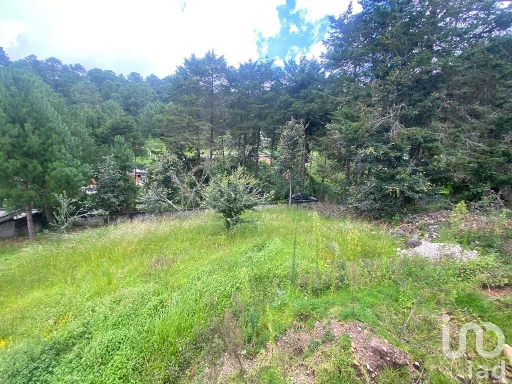 Venta de Terreno en Los Alcanfores, San Cristóbal de Las Casas, Chiapas.
