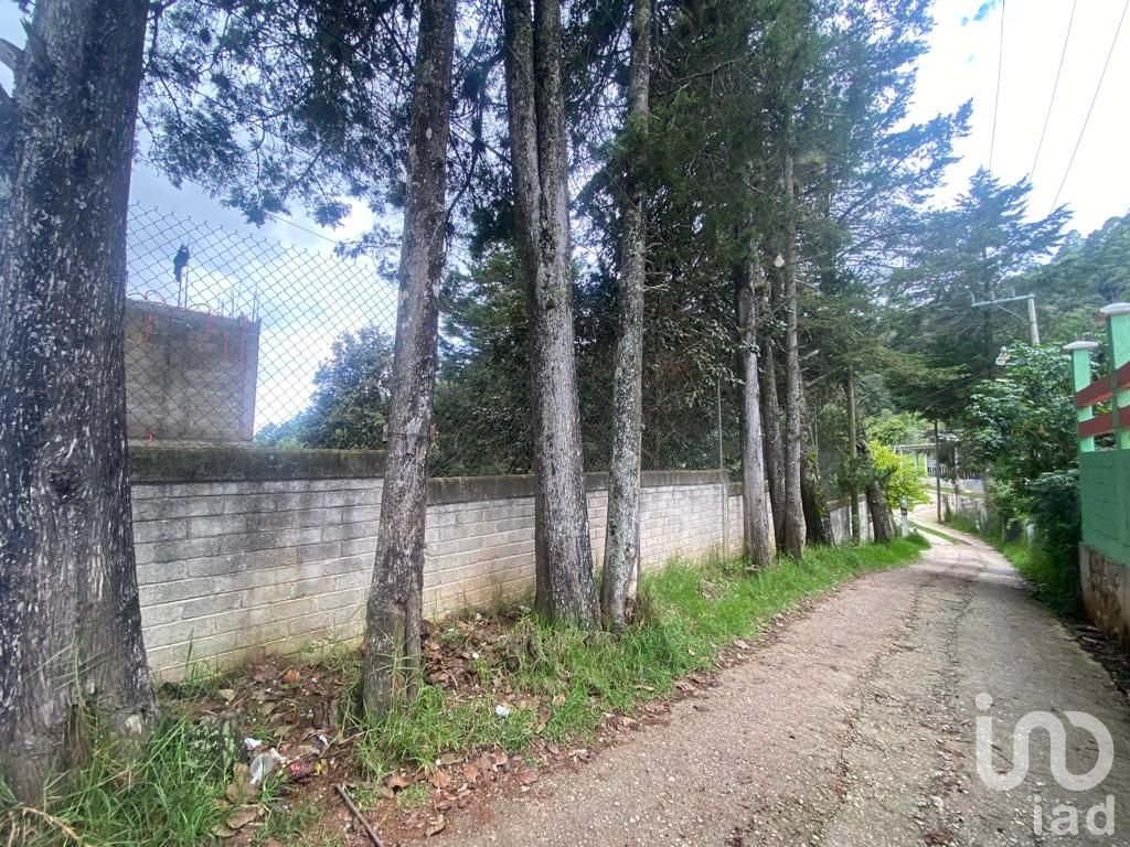 Venta de Terreno en Los Alcanfores, San Cristóbal de Las Casas, Chiapas.