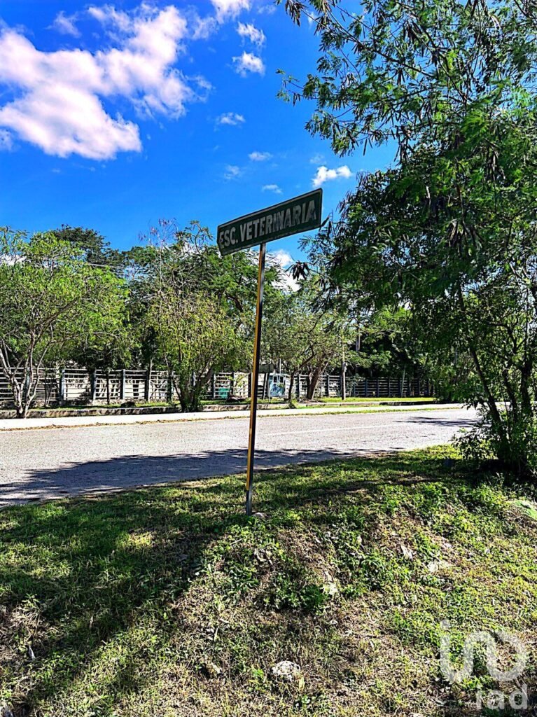VENTA DE TERRENO EN XMATKUIL EN MERIDA YUCATAN ENFRENTE DE LA FACULTAD DE VETERINARIA