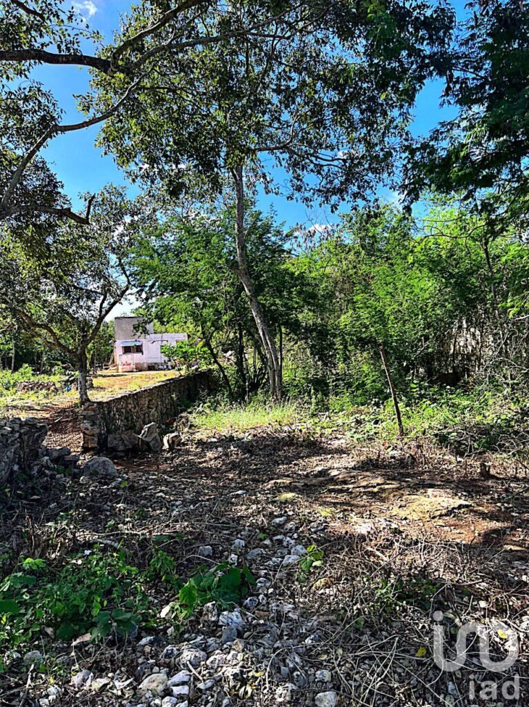 VENTA DE TERRENO EN XMATKUIL EN MERIDA YUCATAN ENFRENTE DE LA FACULTAD DE VETERINARIA