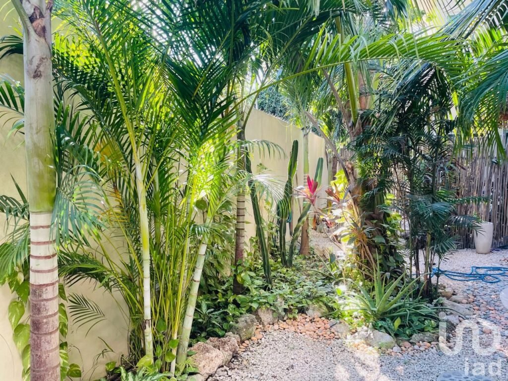 Se vende edificio con 5 departamentos en la Veleta