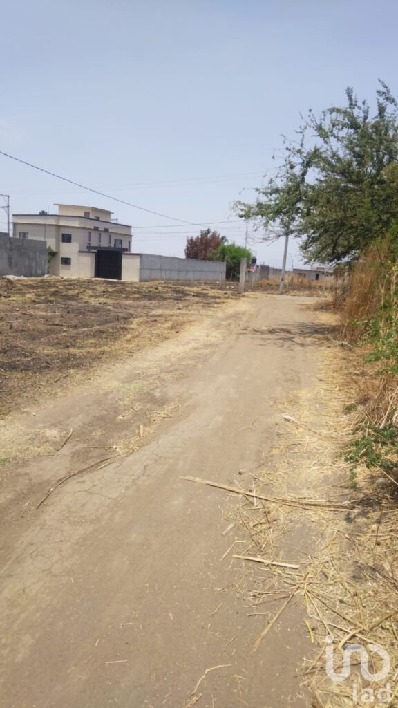 Terreno Metlapa Municipio de Atlahuacan, Edo Morelos