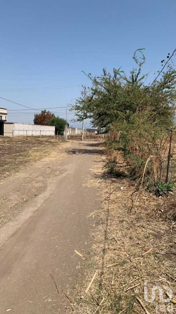 Terreno Metlapa Municipio de Atlahuacan, Edo Morelos