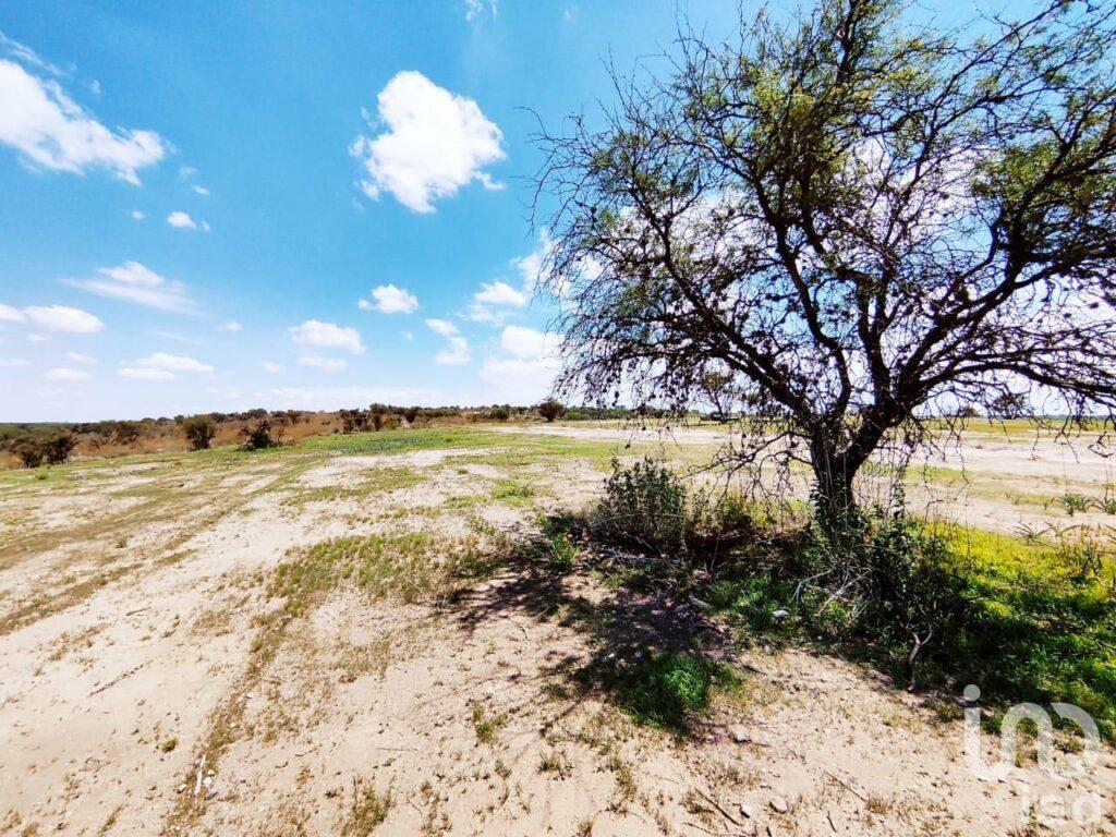 Terreno en Venta para Desarrollo