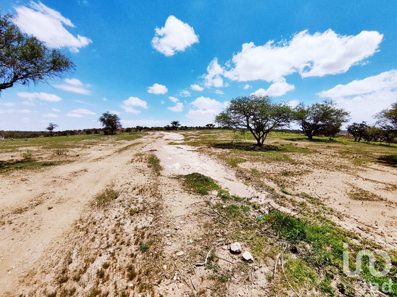 Terreno en Venta para Desarrollo