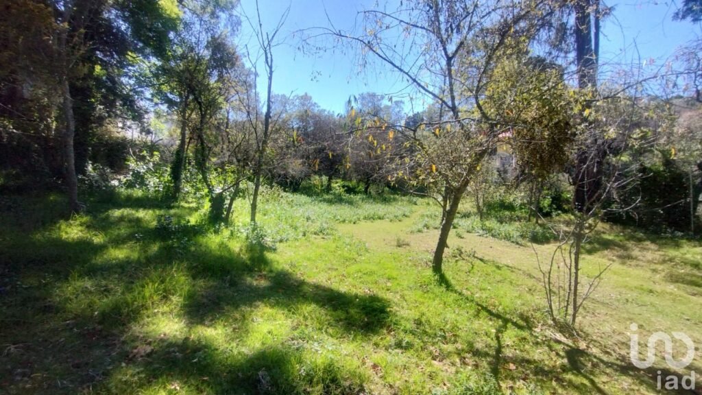 TERRENO URBANO EN VENTA EN EL CENTRO DE  REAL DEL MONTE,HGO.