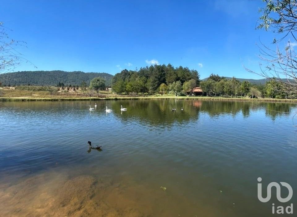Terreno en Venta en Praderas del Nogal, Tapalpa, Jalisco.