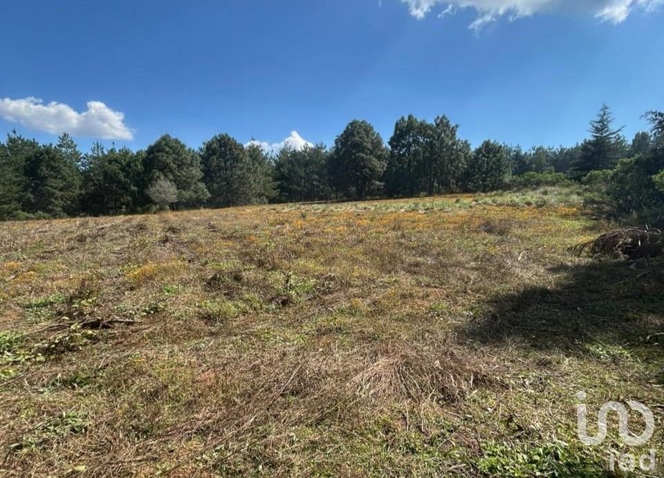 Terreno en Venta en Praderas del Nogal, Tapalpa, Jalisco.