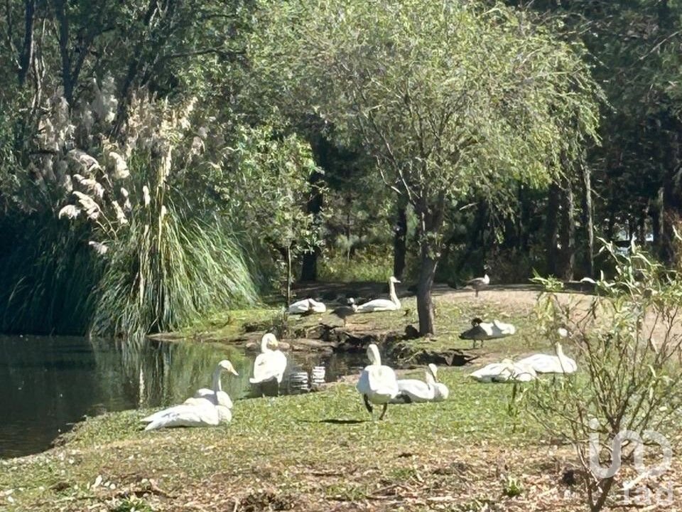 Terreno en Venta en Praderas del Nogal, Tapalpa, Jalisco.