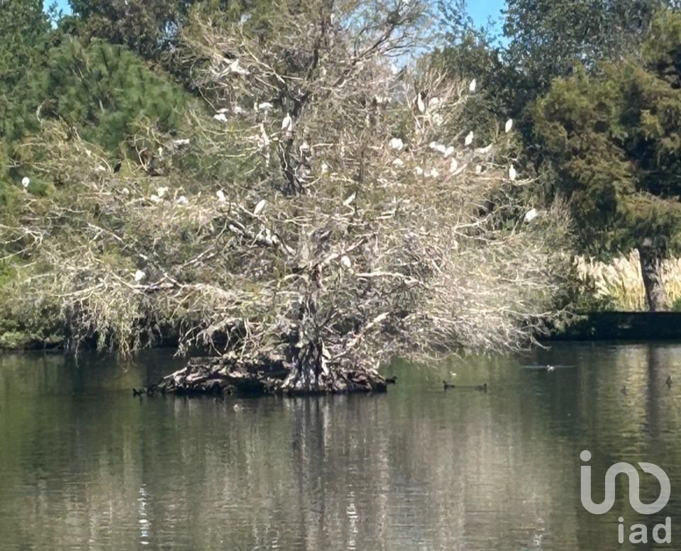 Terreno en Venta en Praderas del Nogal, Tapalpa, Jalisco.