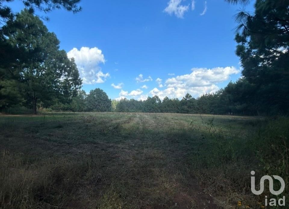 Terreno en Venta en Praderas del Nogal, Tapalpa, Jalisco.