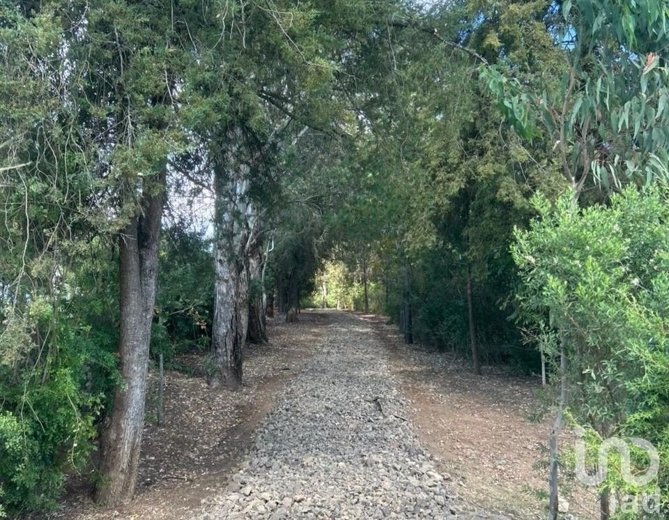Terreno en Venta en Praderas del Nogal, Tapalpa, Jalisco.