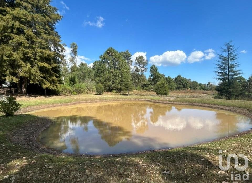 Terreno en Venta en Praderas del Nogal, Tapalpa, Jalisco.