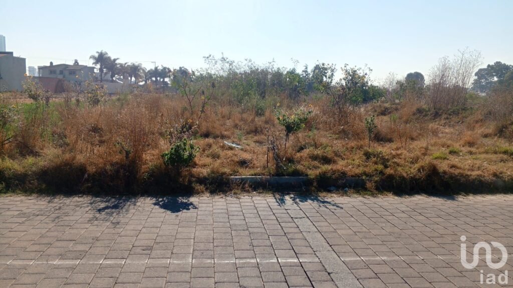 Lotes en Venta en San Antonio Cacalotepec, Calle Tepevacalcingo