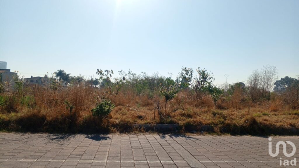 Lotes en Venta en San Antonio Cacalotepec, Calle Tepevacalcingo