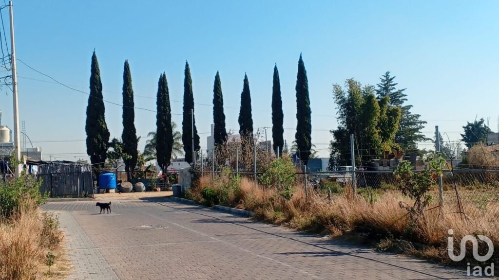 Lotes en Venta en San Antonio Cacalotepec, Calle Tepevacalcingo