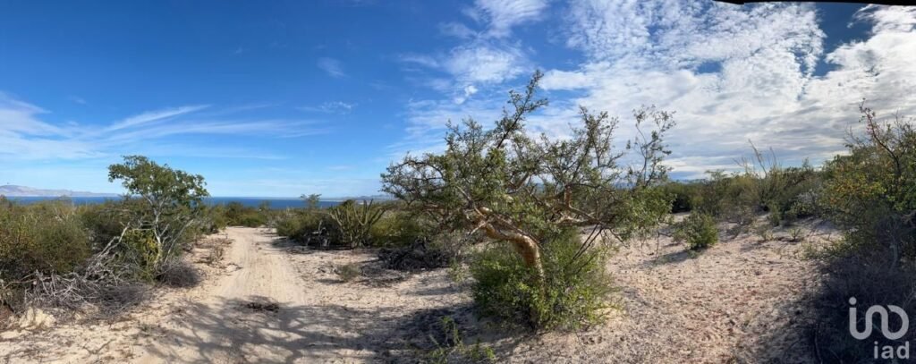 HECTAREAS EN VENTA CON VISTA AL MAR EN EL SARGENTO