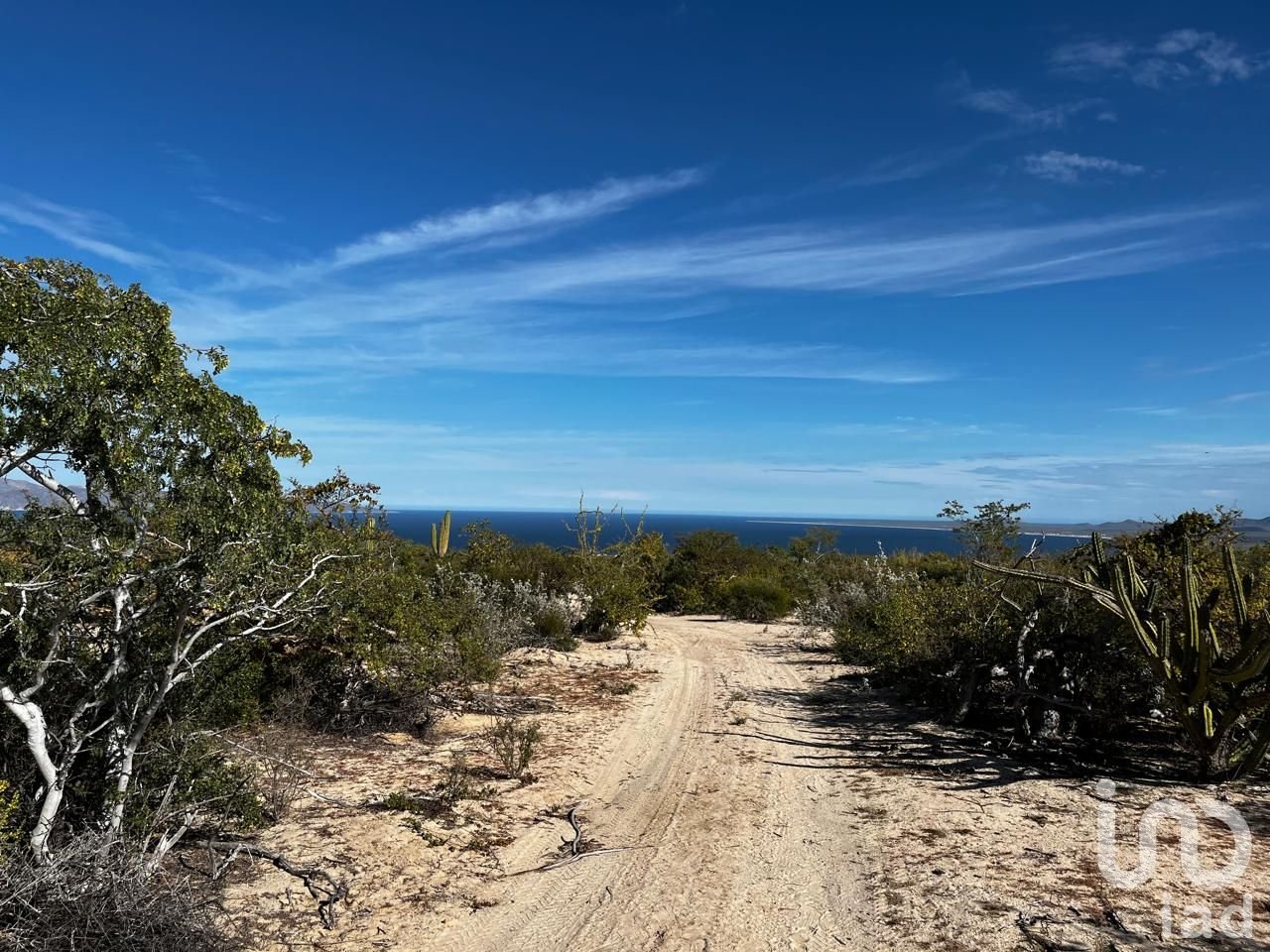 HECTAREAS EN VENTA CON VISTA AL MAR EN EL SARGENTO