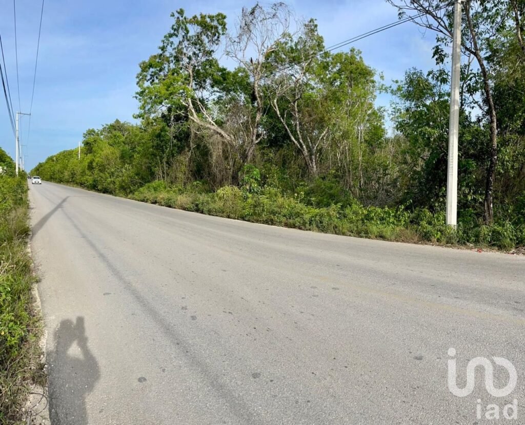 VENTA TERRENO EN  AV. ROGELIO CASTORENA, CANCUN