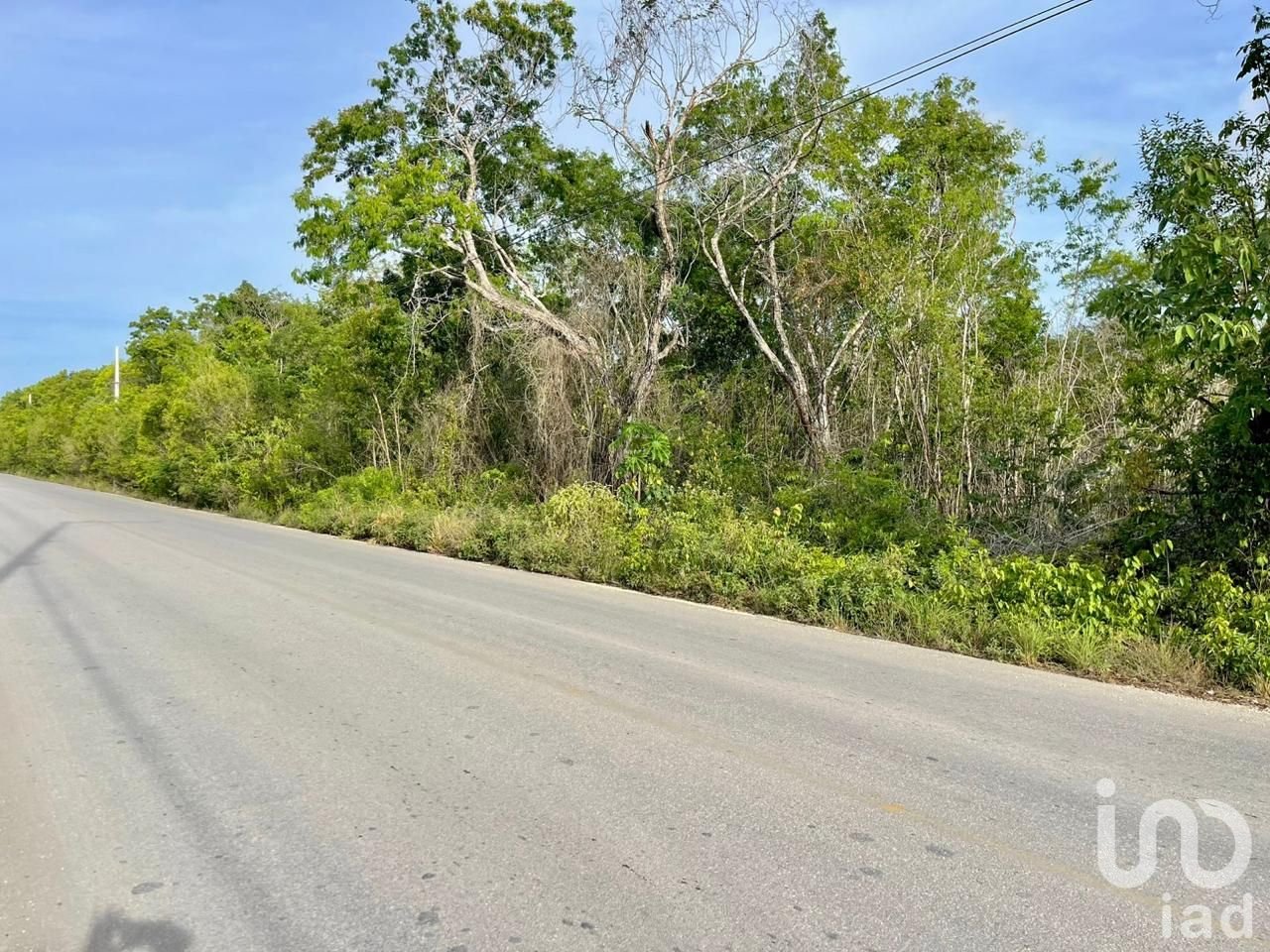 VENTA TERRENO EN  AV. ROGELIO CASTORENA, CANCUN