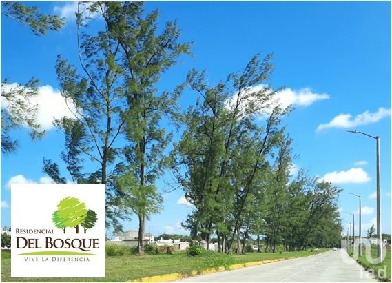 DEPARTAMENTO EQUIPADO PLANTA BAJA  FRACC RESIDENCIAL DEL BOSQUE