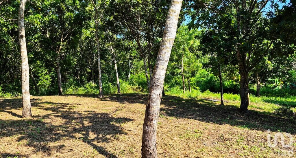 TERRENO EN VENTA, PUERTO ESCONDIDO