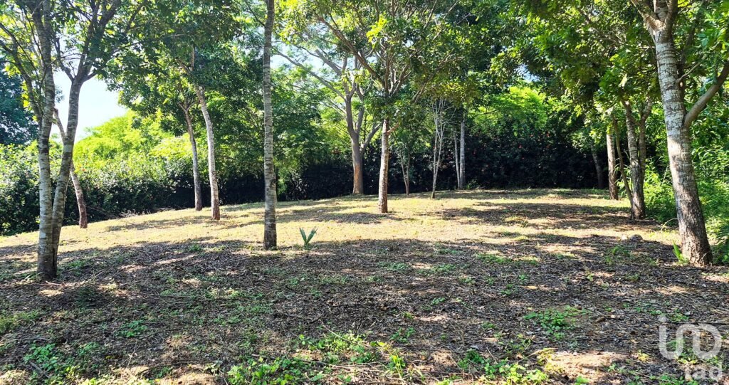 TERRENO EN VENTA, PUERTO ESCONDIDO