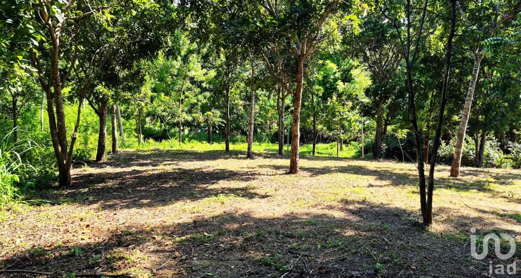 TERRENO EN VENTA, PUERTO ESCONDIDO