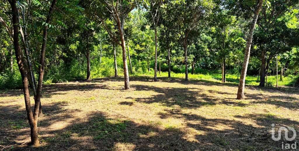 TERRENO EN VENTA, PUERTO ESCONDIDO