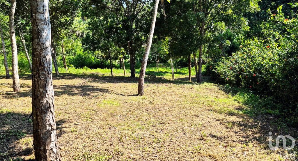 TERRENO EN VENTA, PUERTO ESCONDIDO