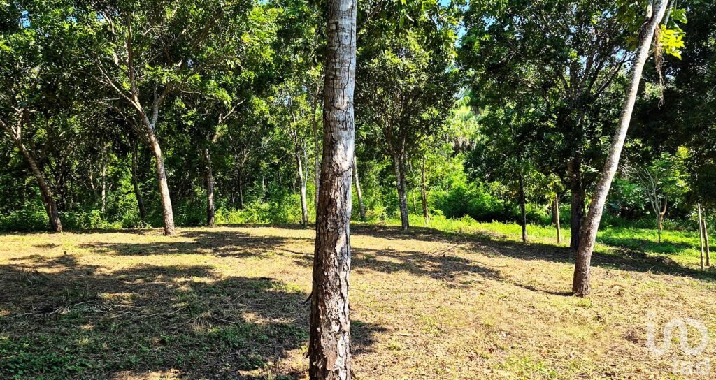 TERRENO EN VENTA, PUERTO ESCONDIDO