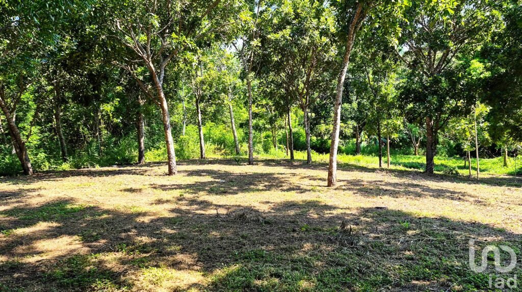 TERRENO EN VENTA, PUERTO ESCONDIDO