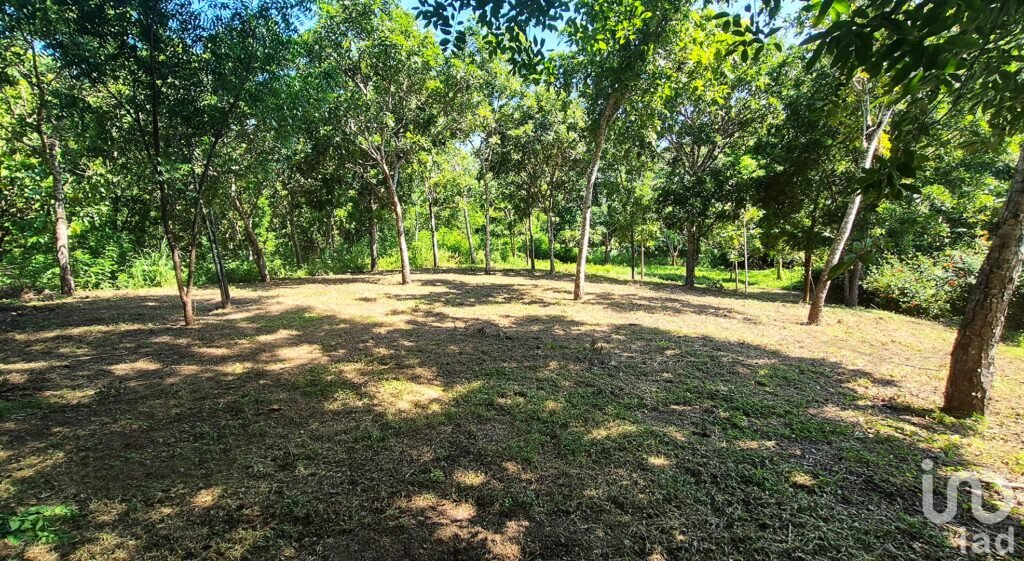 TERRENO EN VENTA, PUERTO ESCONDIDO