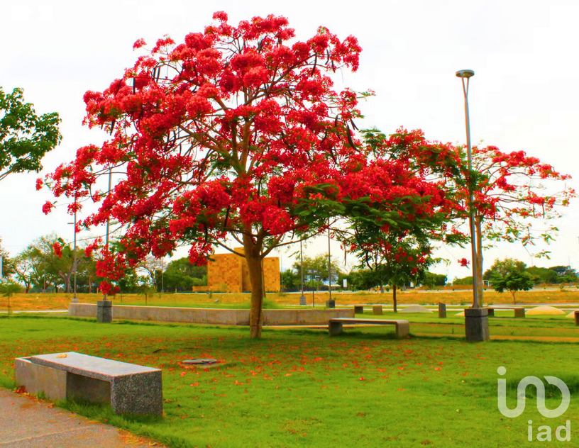 Terreno en Venta Zona Residencial al Norte de Colima