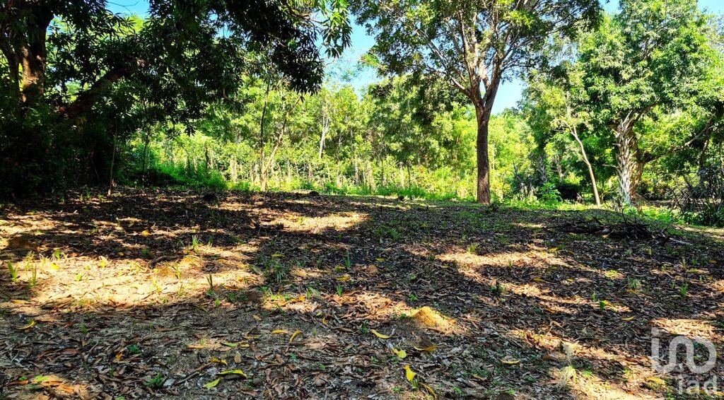 TERRENO EN VENTA, PUERTO ESCONDIDO