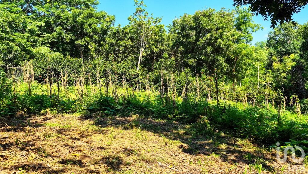 TERRENO EN VENTA, PUERTO ESCONDIDO