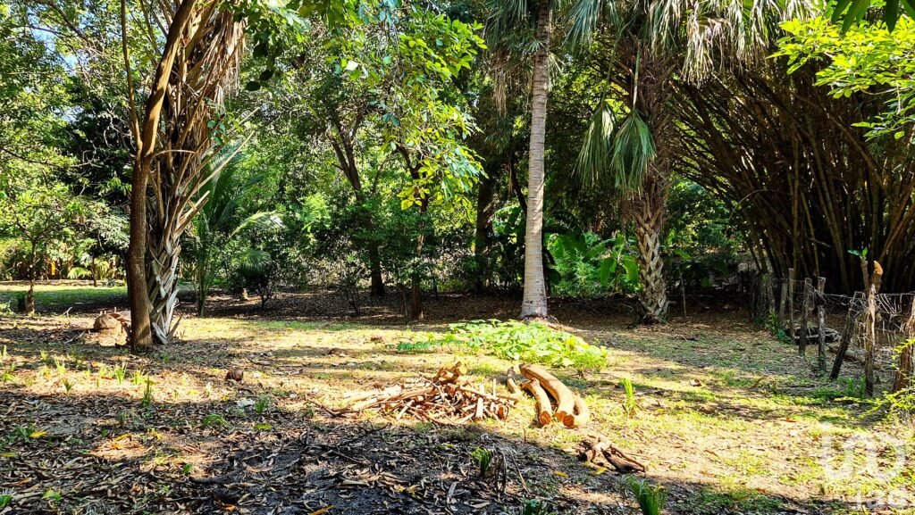 TERRENO EN VENTA A 3 MINUTOS DEL AEROPUERTO, PUERTO ESCONDIDO