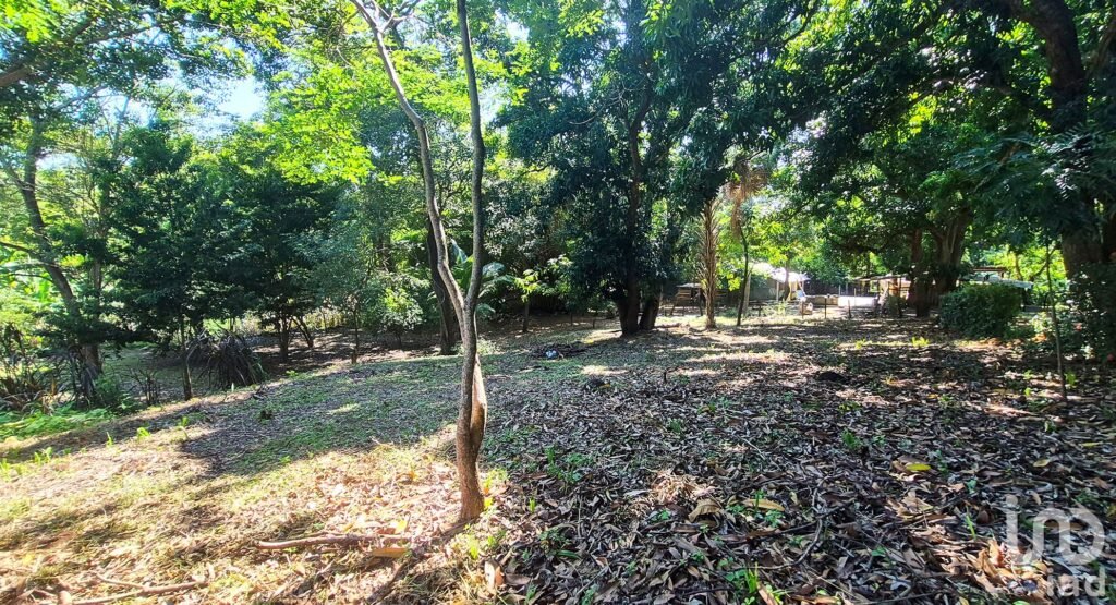 TERRENO EN VENTA A 3 MINUTOS DEL AEROPUERTO, PUERTO ESCONDIDO