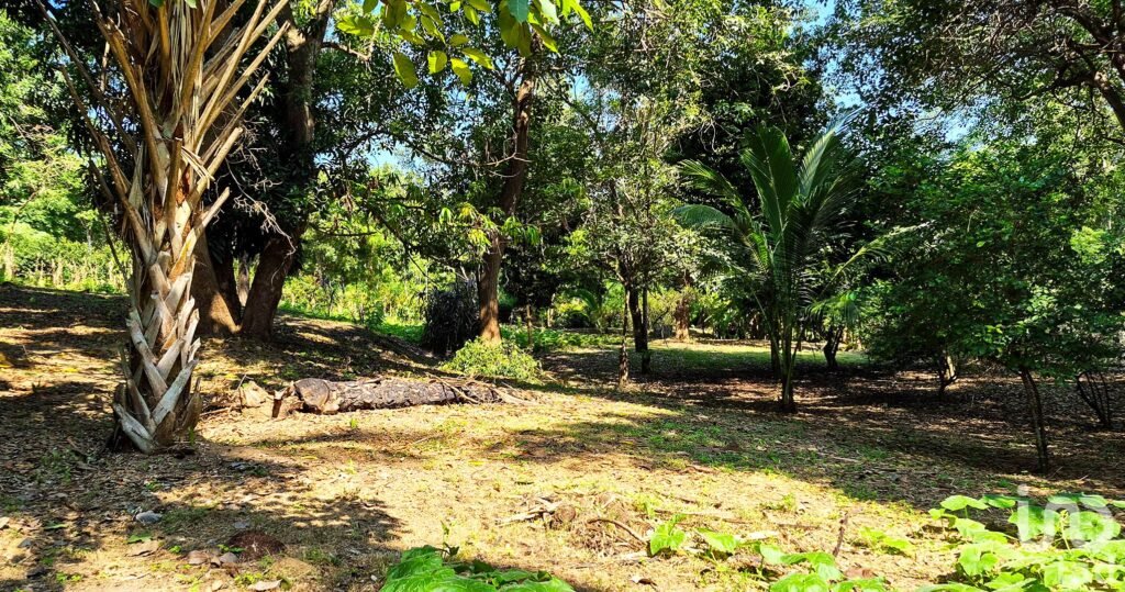 TERRENO EN VENTA A 3 MINUTOS DEL AEROPUERTO, PUERTO ESCONDIDO