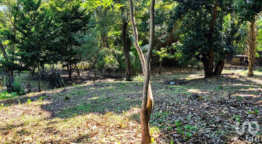 TERRENO EN VENTA A 3 MINUTOS DEL AEROPUERTO, PUERTO ESCONDIDO