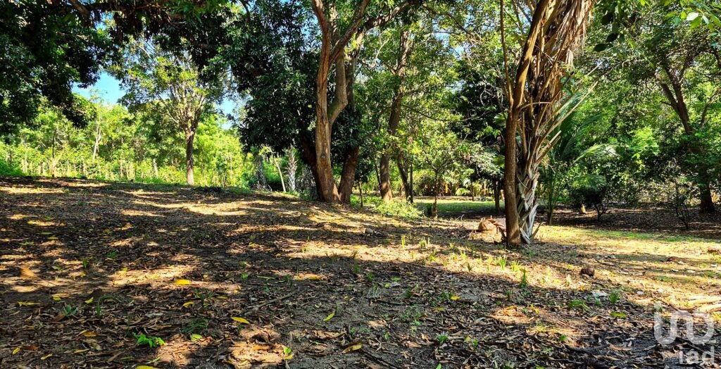 TERRENO EN VENTA A 3 MINUTOS DEL AEROPUERTO, PUERTO ESCONDIDO