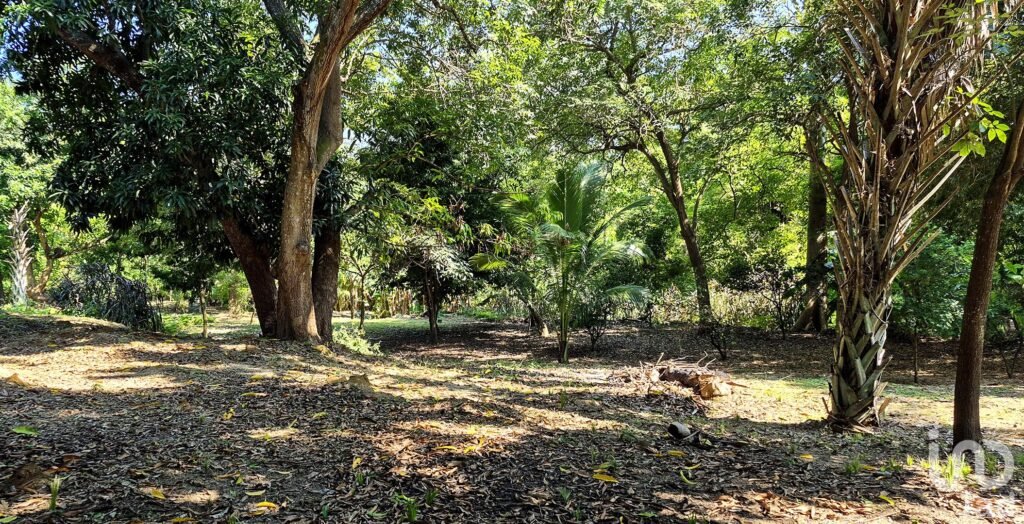 TERRENO EN VENTA A 3 MINUTOS DEL AEROPUERTO, PUERTO ESCONDIDO