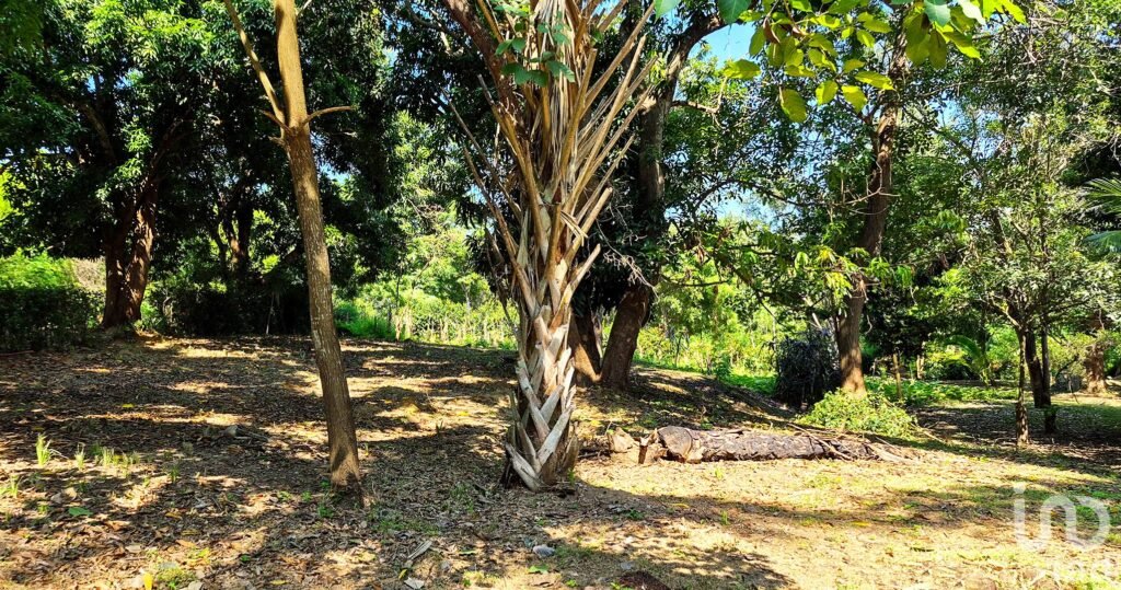 TERRENO EN VENTA A 3 MINUTOS DEL AEROPUERTO, PUERTO ESCONDIDO