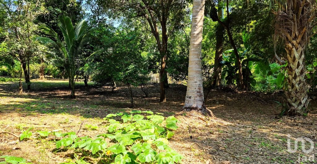 TERRENO EN VENTA A 3 MINUTOS DEL AEROPUERTO, PUERTO ESCONDIDO