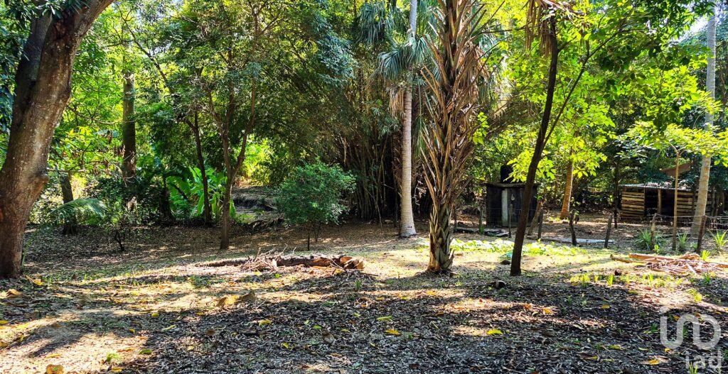 TERRENO EN VENTA A 3 MINUTOS DEL AEROPUERTO, PUERTO ESCONDIDO