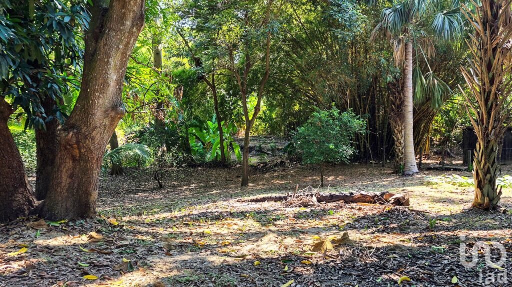 TERRENO EN VENTA A 3 MINUTOS DEL AEROPUERTO, PUERTO ESCONDIDO